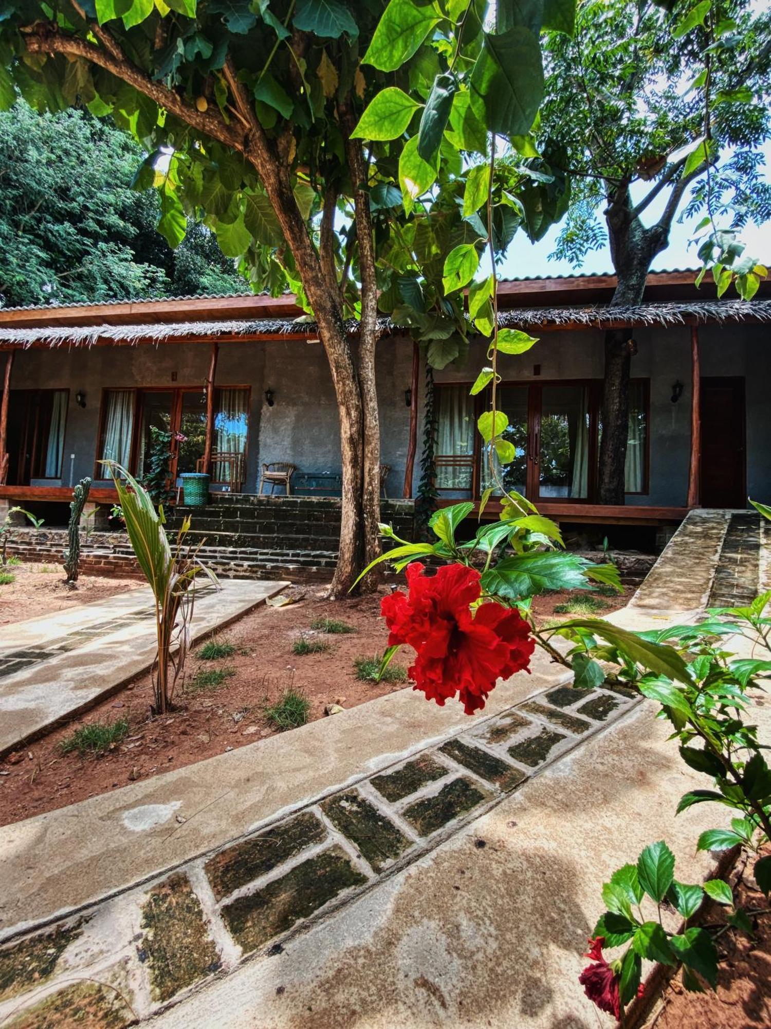 Basa-Basi Lodge Karimunjawa-Inseln Exterior foto