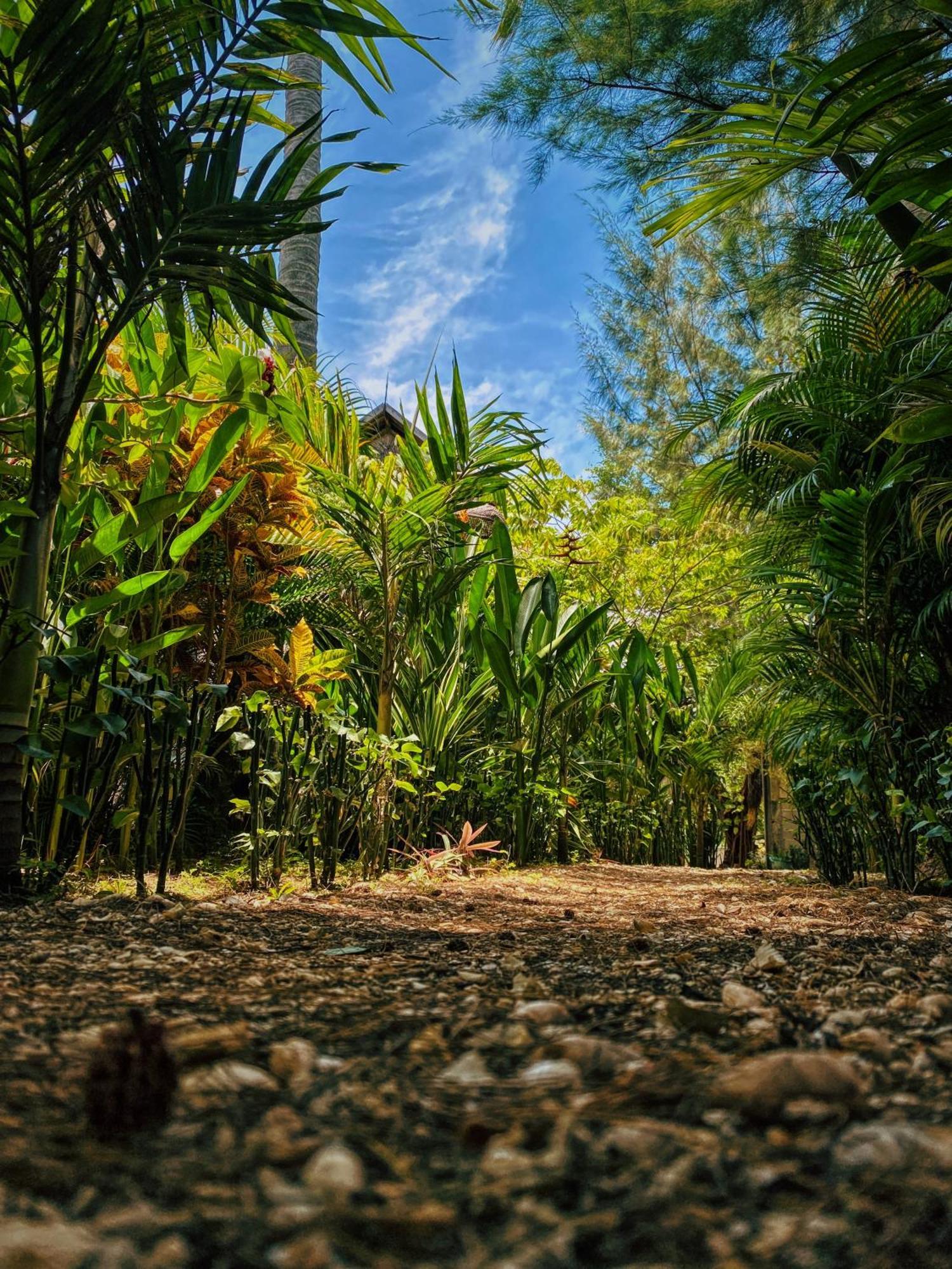 Basa-Basi Lodge Karimunjawa-Inseln Exterior foto